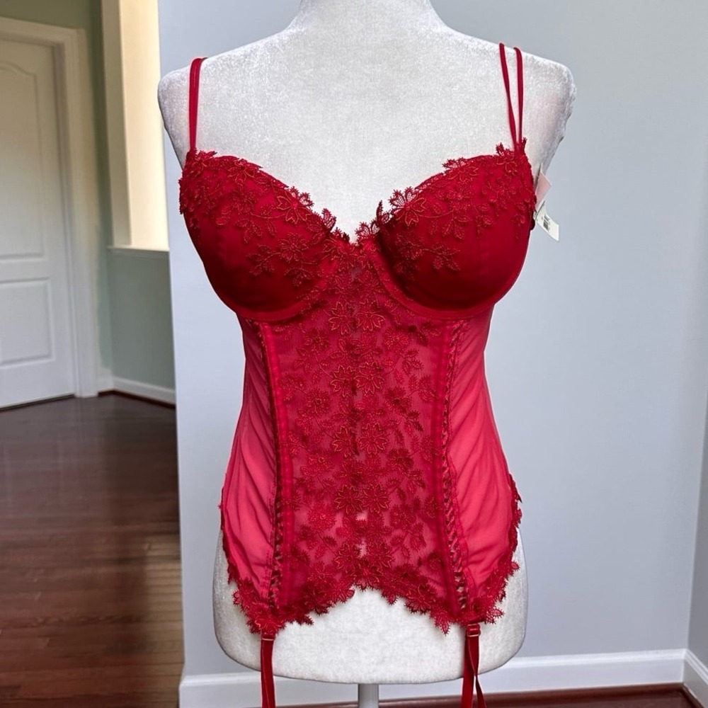 Vintage Y2K Cottagecore Coquette Whimsical Fairy Core Delicates Sheer Red Corset